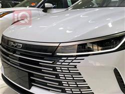 بی وای دی دیسترۆیەر 05